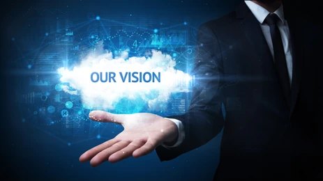 Vision